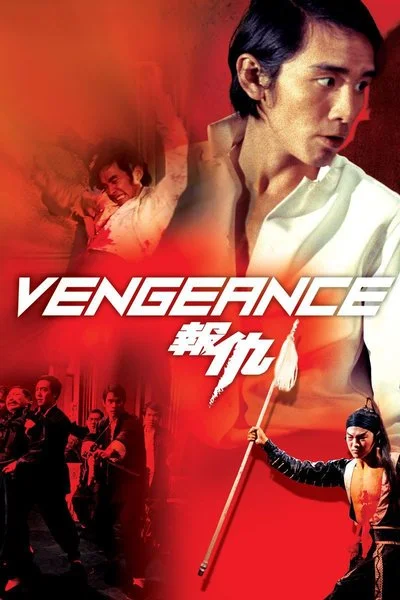 Affiche Vengeance