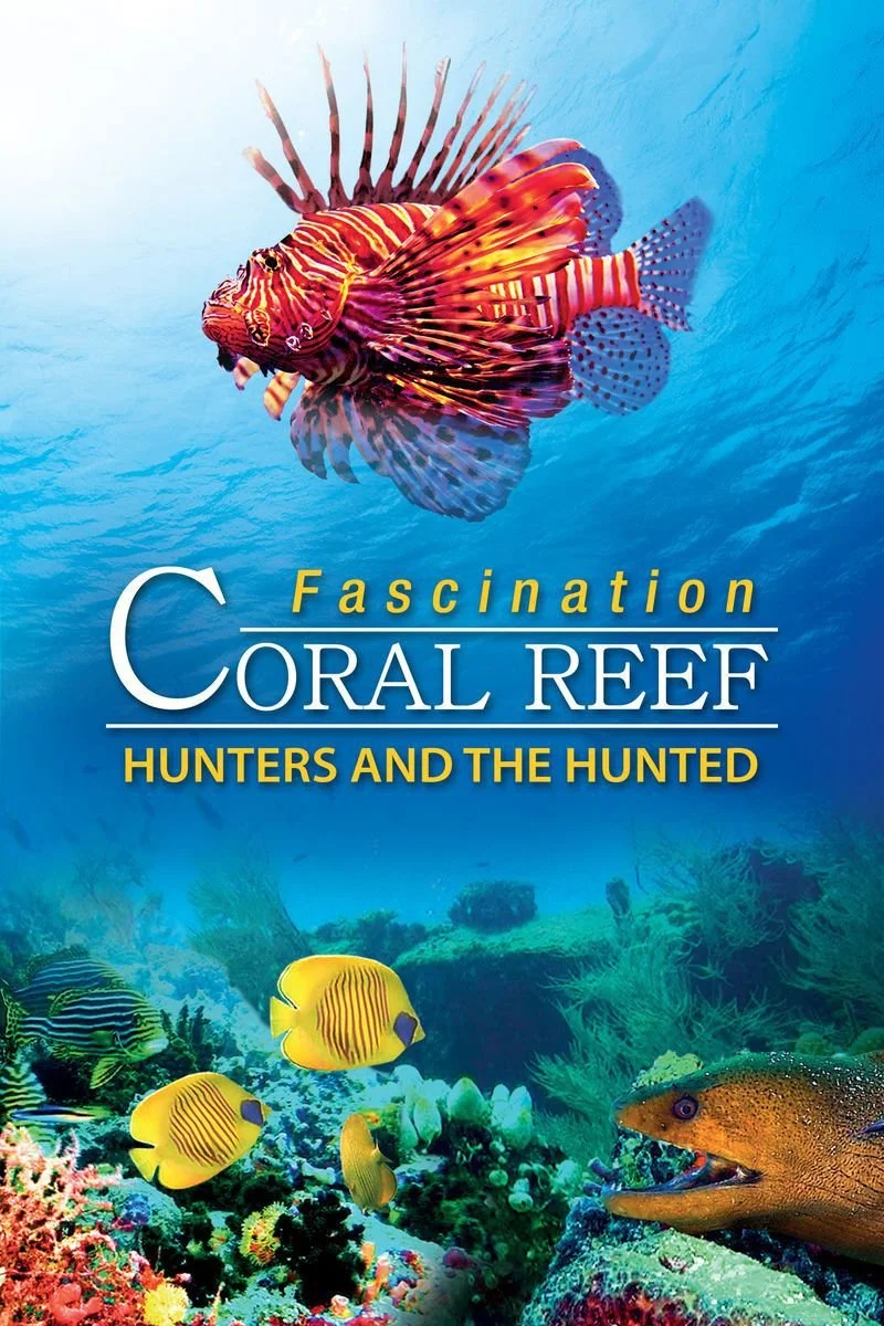 Affiche de Fascination Coral Reef: Hunters and the Hunted