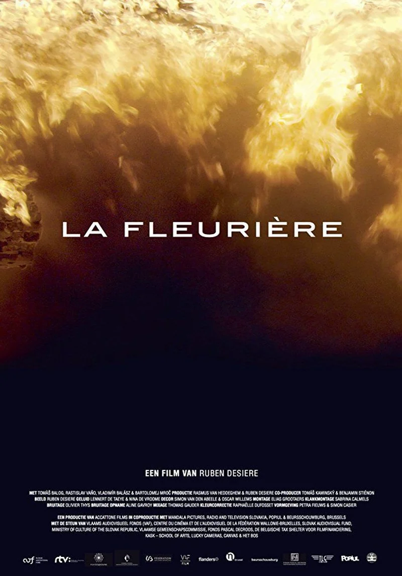 Affiche de La Fleurière