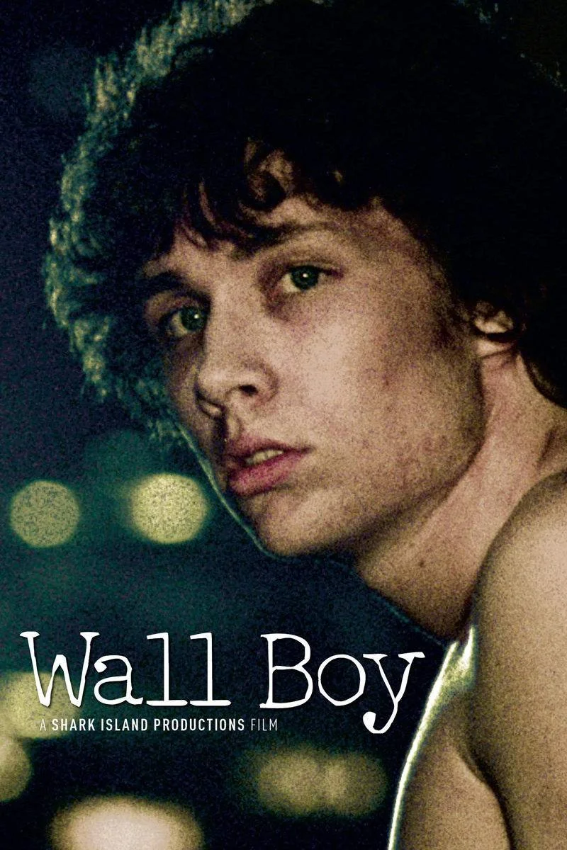 Affiche de Wall Boy