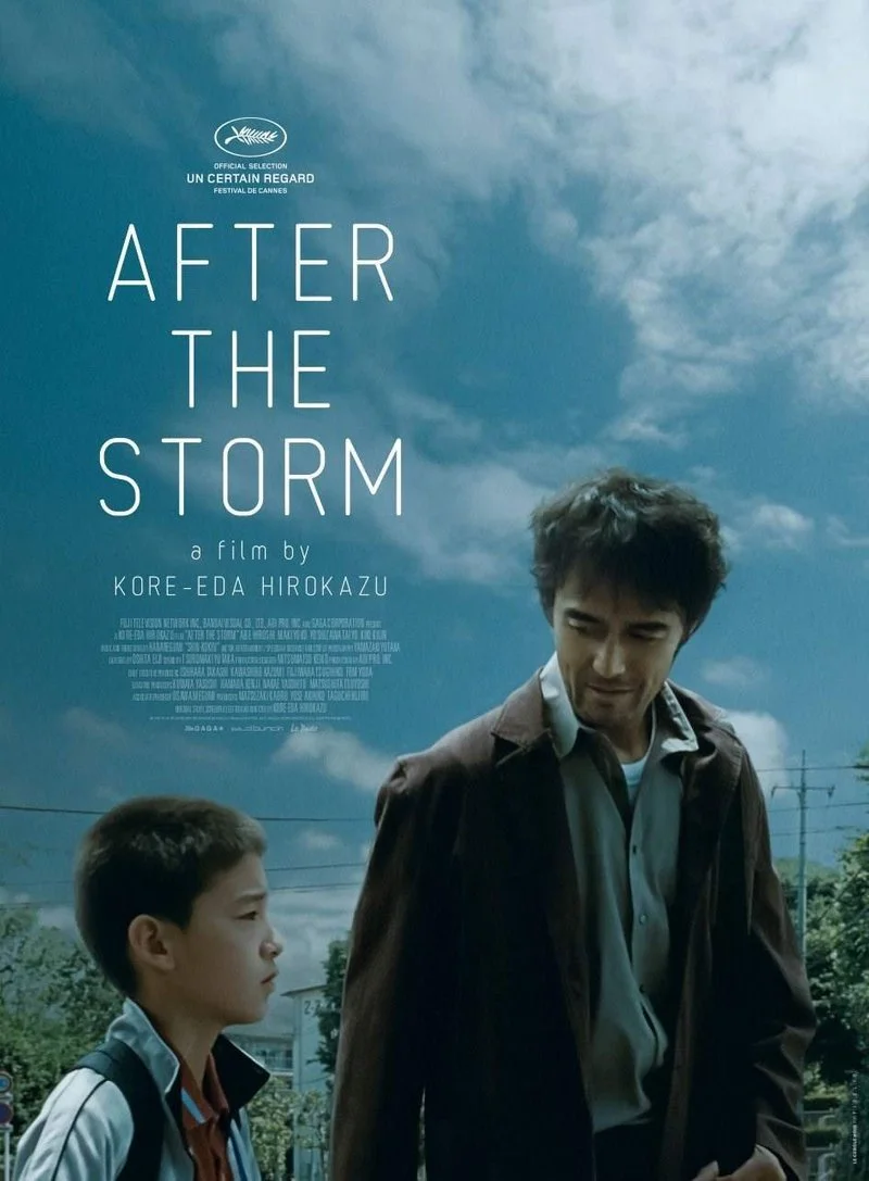 Affiche de After the Storm
