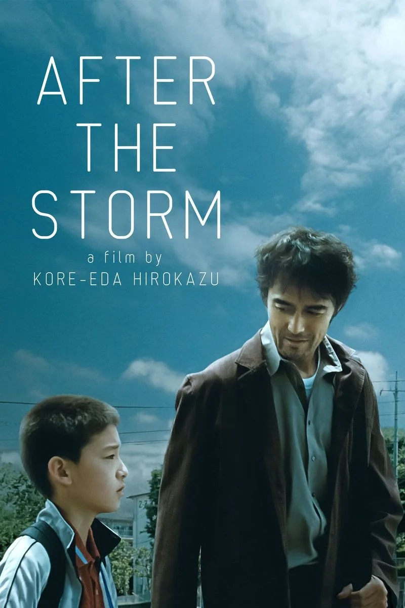 Poster van After the Storm