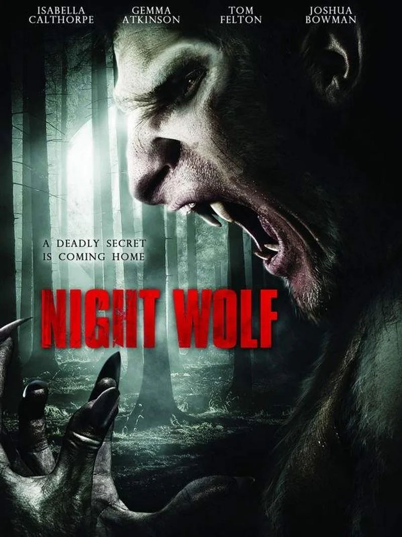 Affiche de Night Wolf