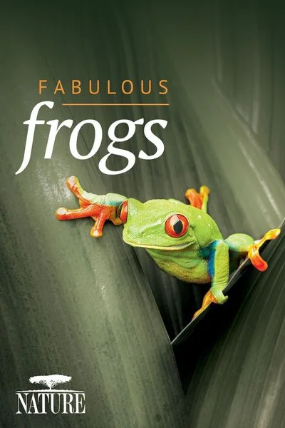 Affiche Fabulous Frogs