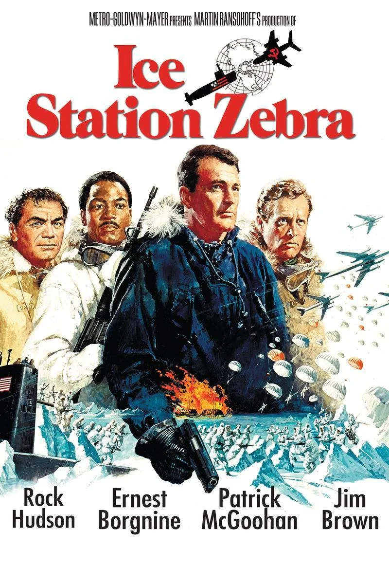 Affiche de Destination : Zebra