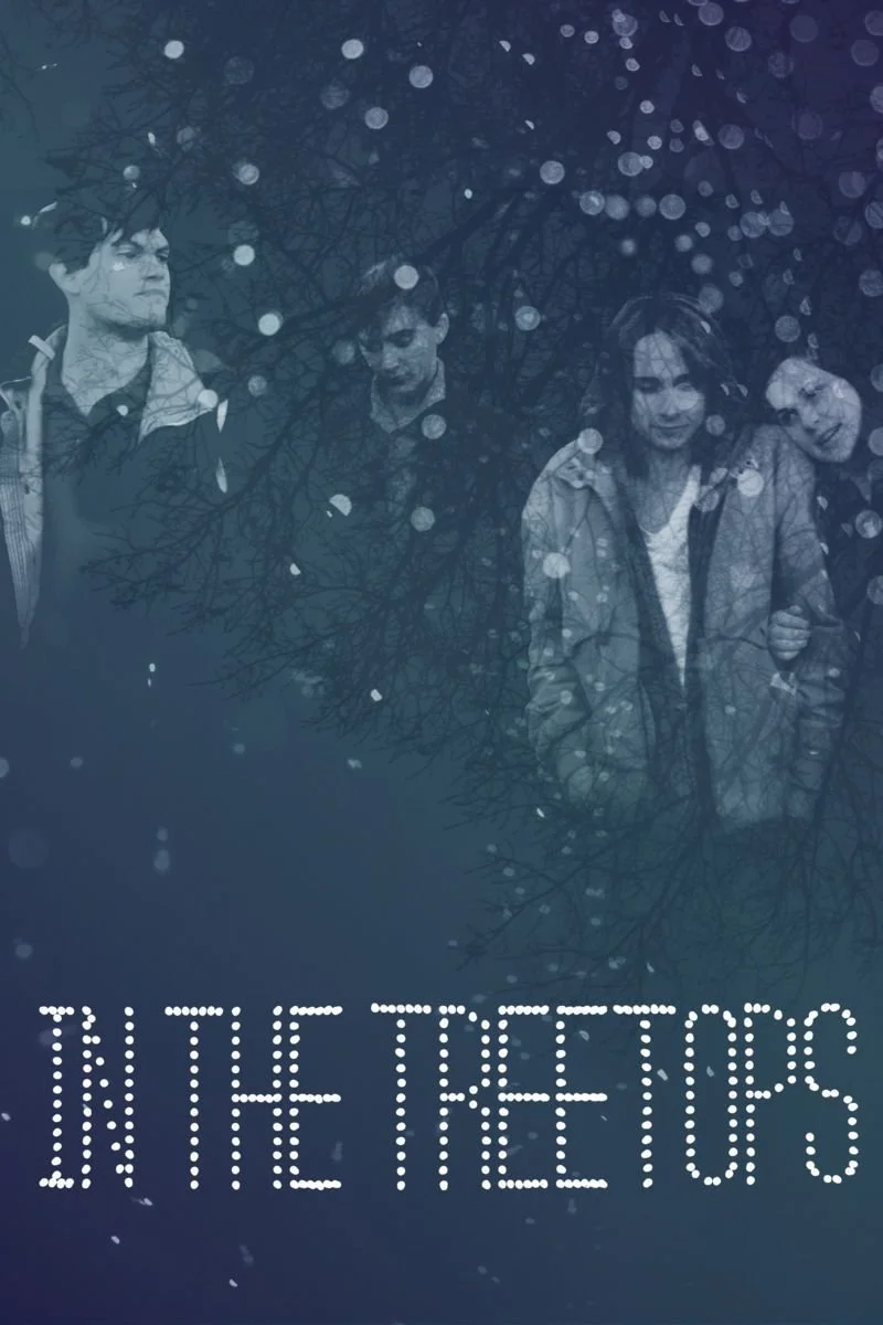 Affiche de In the Treetops