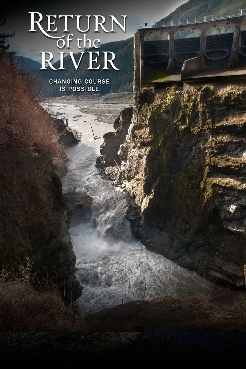 Affiche de Return of the River