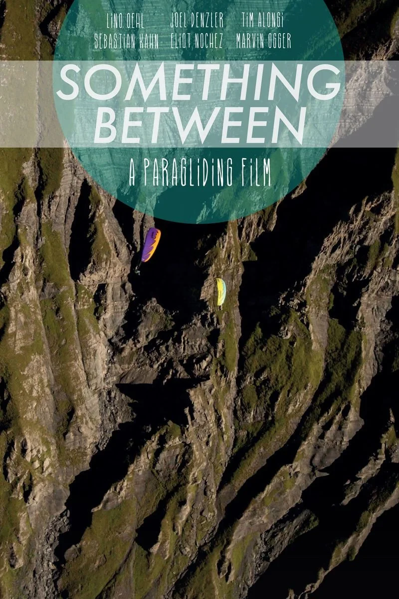 Affiche de Something Between