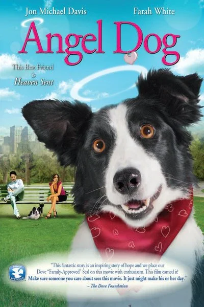 Affiche Angel Dog