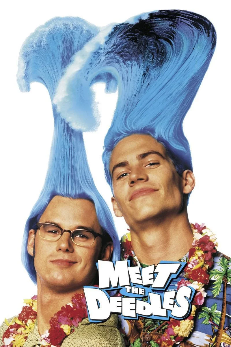 Affiche de Meet the Deedles
