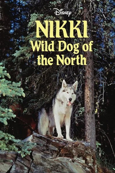 Poster Nikki, Wild Dog of the North