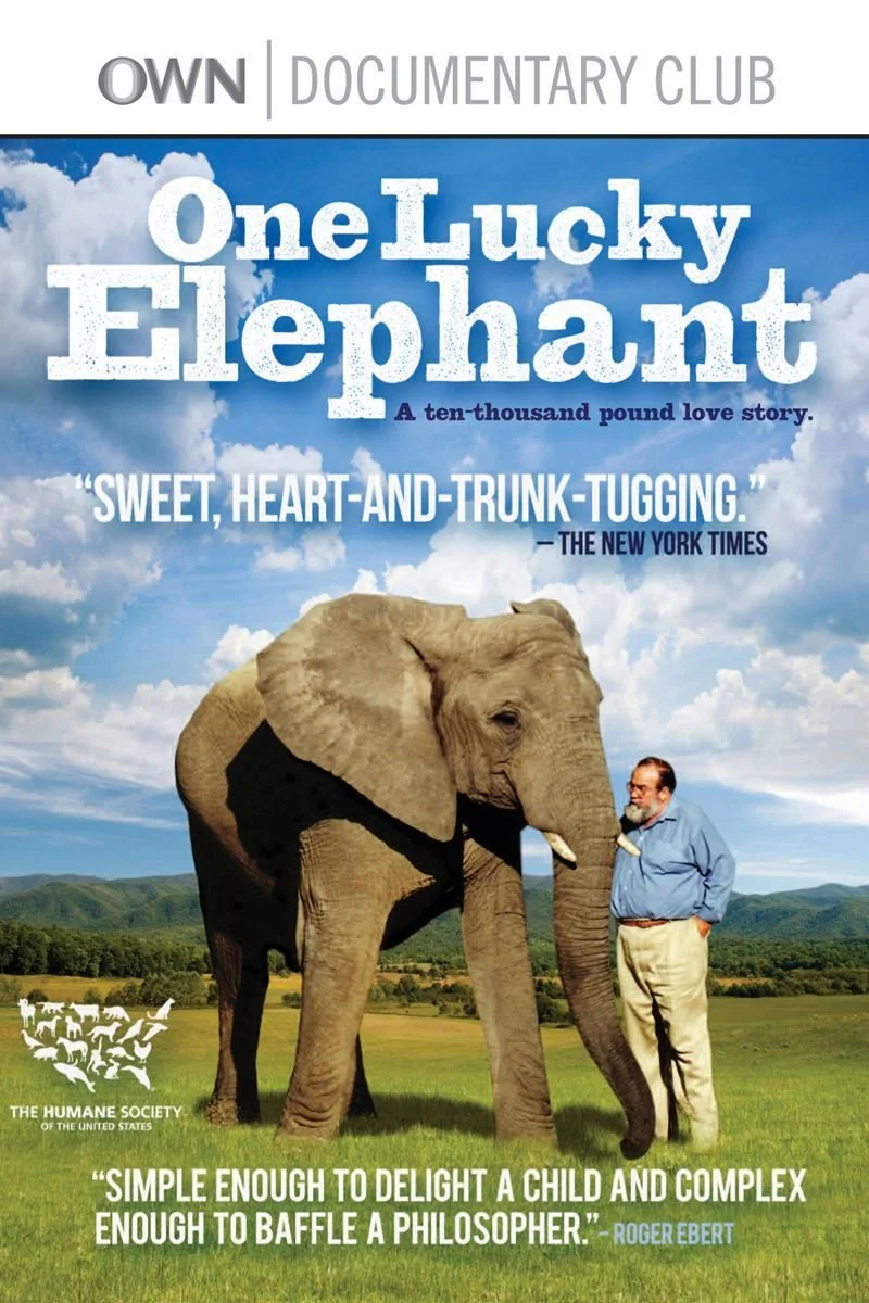 Poster van One Lucky Elephant