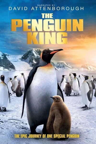 Affiche The Penguin King