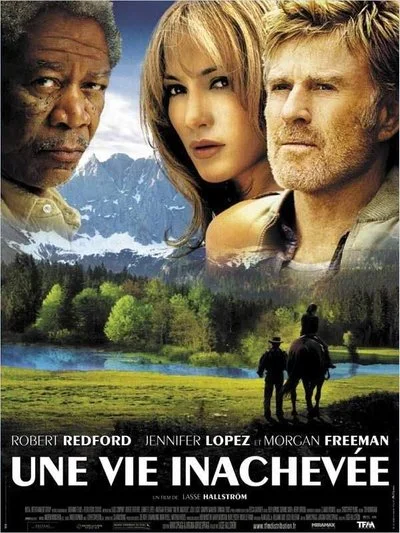 Affiche Une vie inachevée