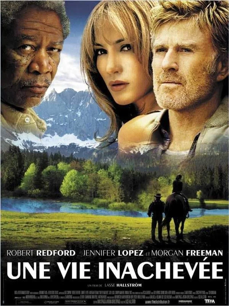 Poster van An Unfinished life