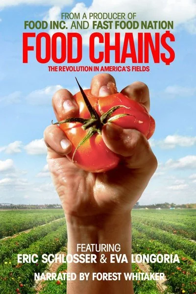 Poster Food Chains