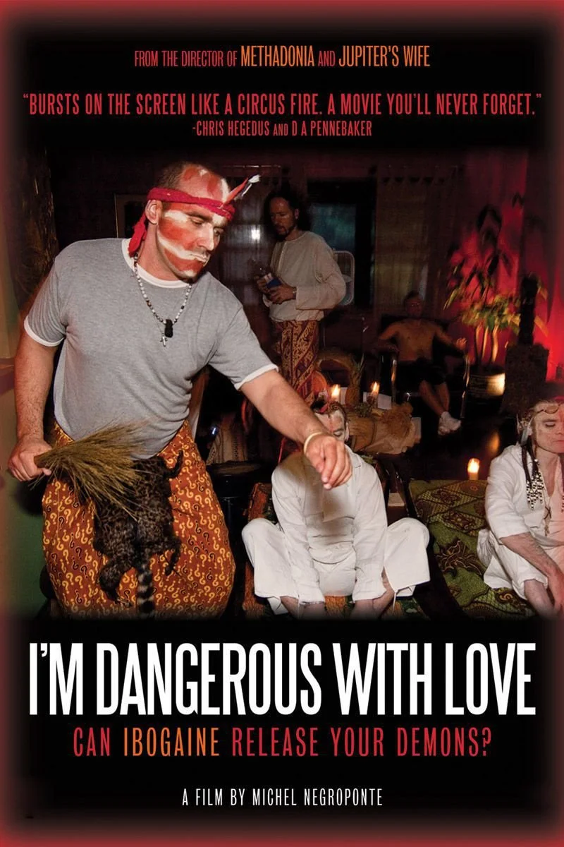 Affiche de I'm Dangerous With Love
