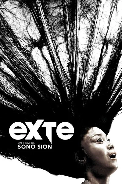 Poster Exte