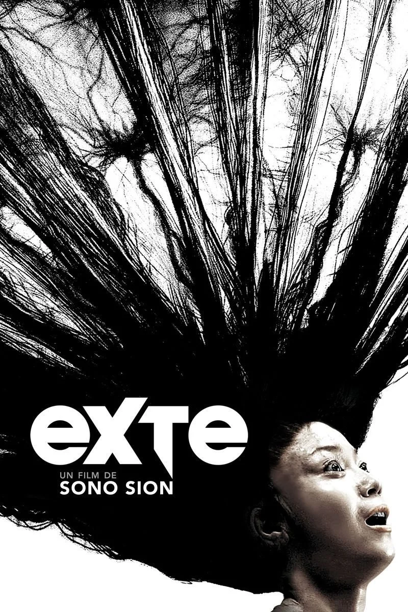 Affiche de Exte