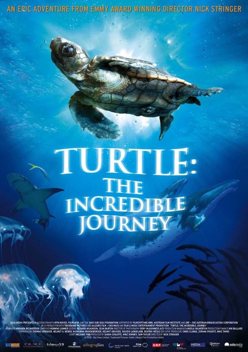 Affiche de Turtle: The Incredible Journey
