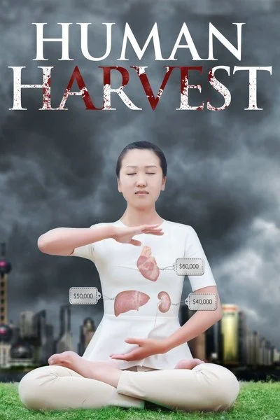 Affiche Human Harvest