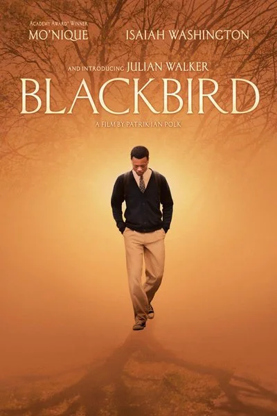 Affiche Blackbird