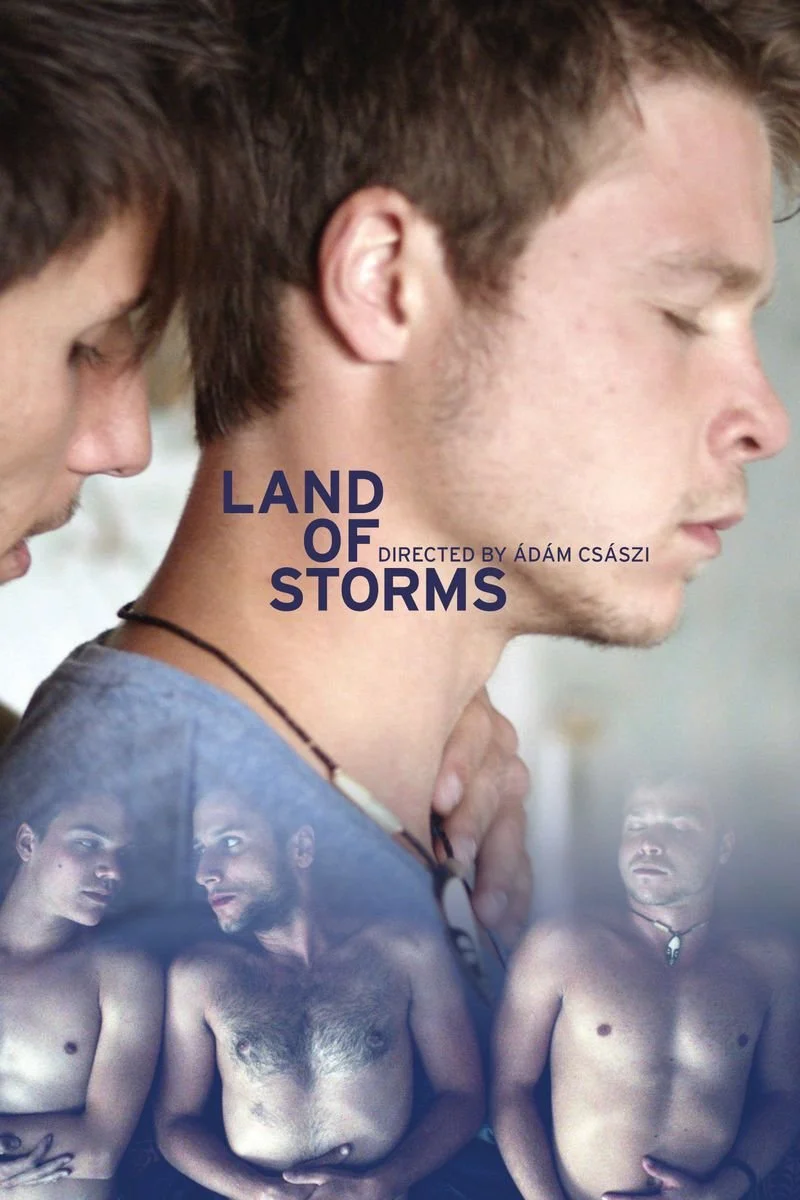 Poster van Land of Storms