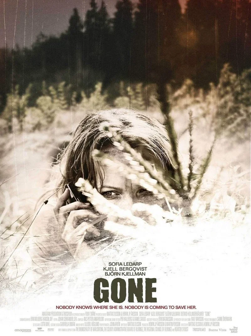 Affiche de Disparue