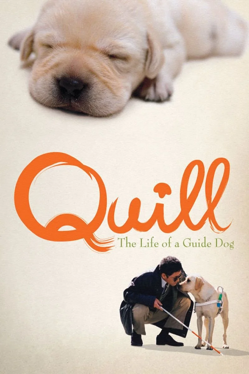 Poster van Quill: The Life of a Guide Dog