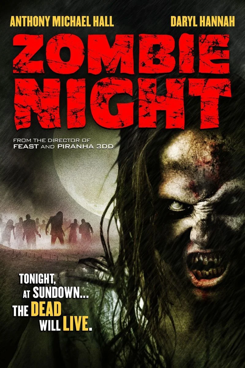 Affiche de Zombie Night