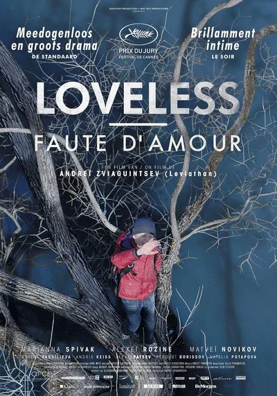 Affiche Faute d'amour
