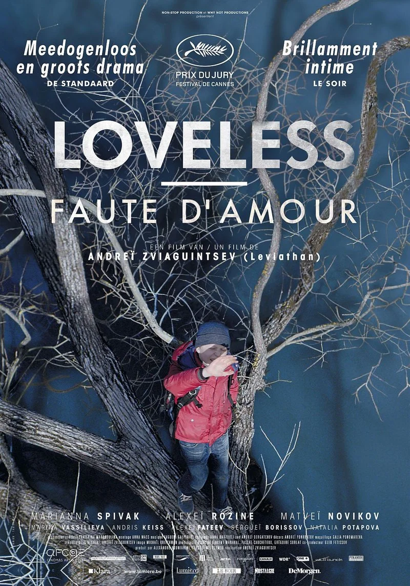 Affiche de Faute d'amour
