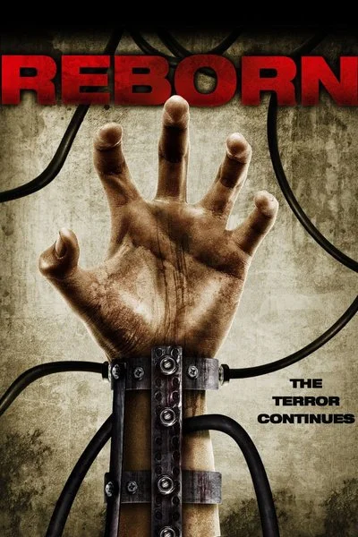 Affiche Reborn