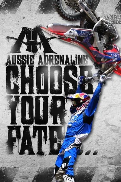 Poster Choose Your Fate