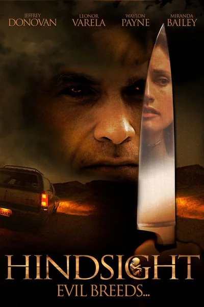 Affiche Hindsight