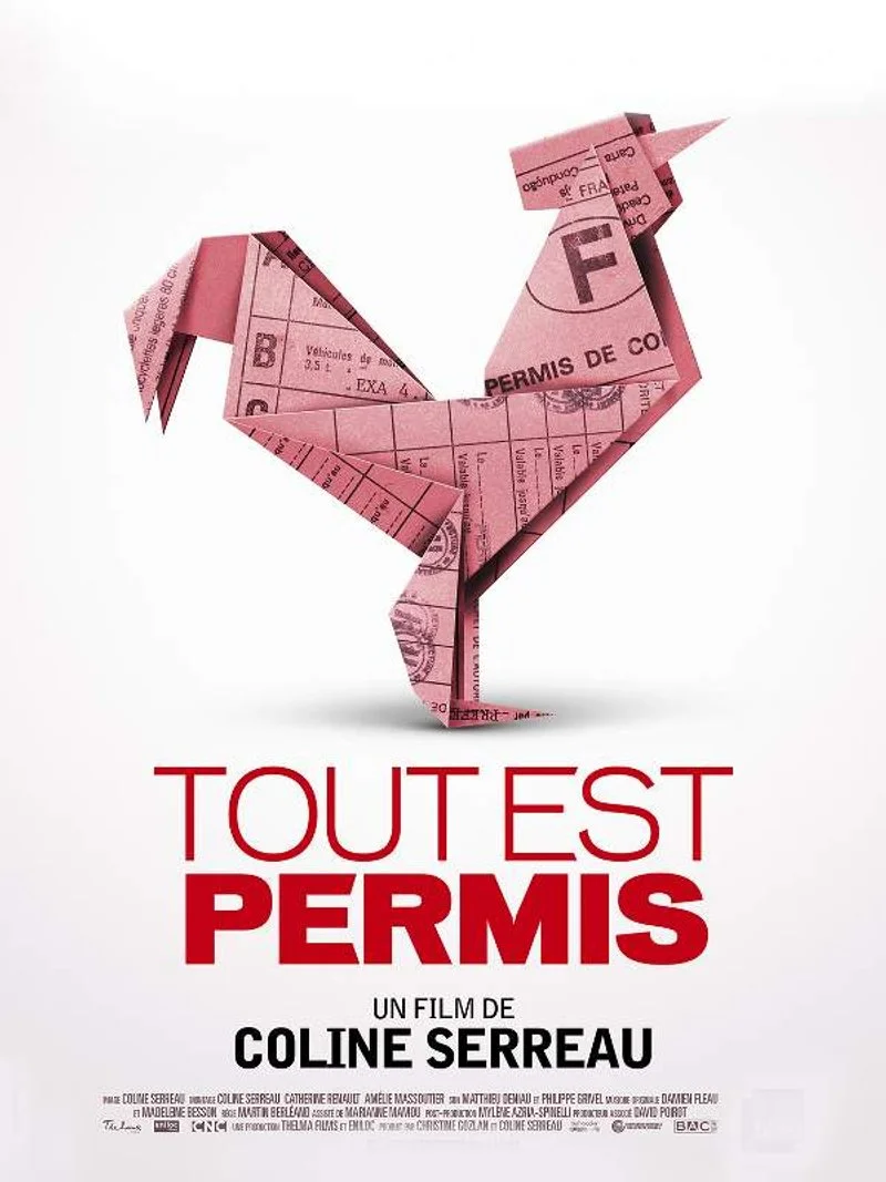 Affiche de Tout est permis
