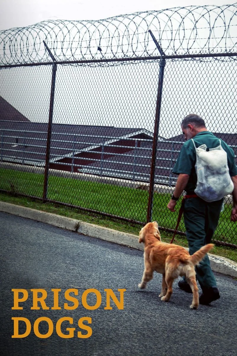 Poster van Prison Dogs