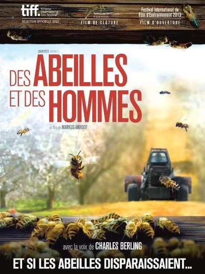 Affiche More Than Honey