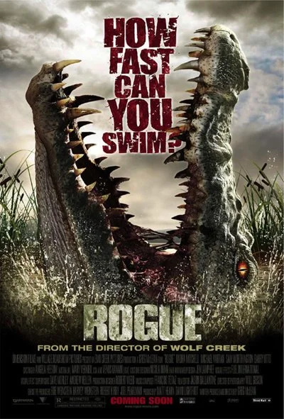 Affiche Rogue