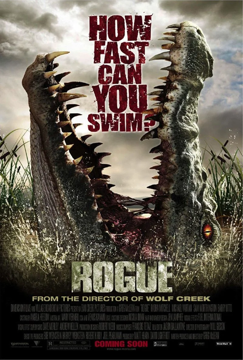 Affiche de Rogue