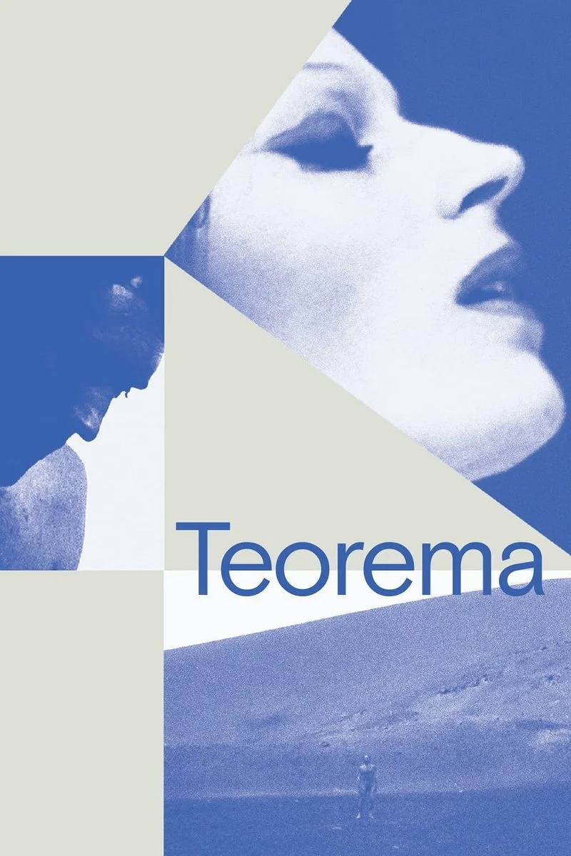 Poster van Teorema