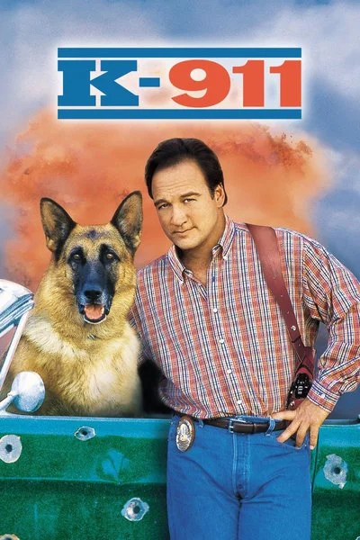 Affiche K-911