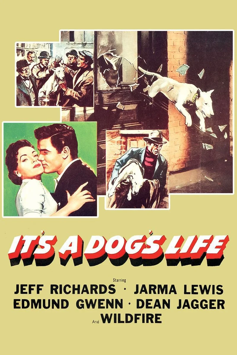 Affiche de It's a Dog's Life