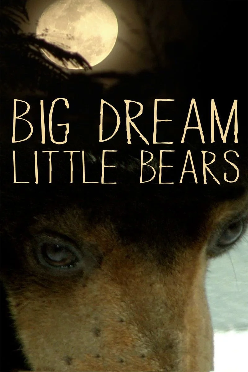 Affiche de Big Dream Little Bears