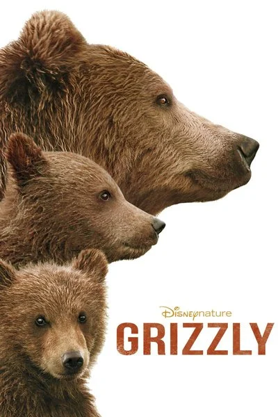Poster Grizzly