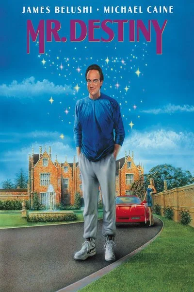 Poster Mr. Destiny