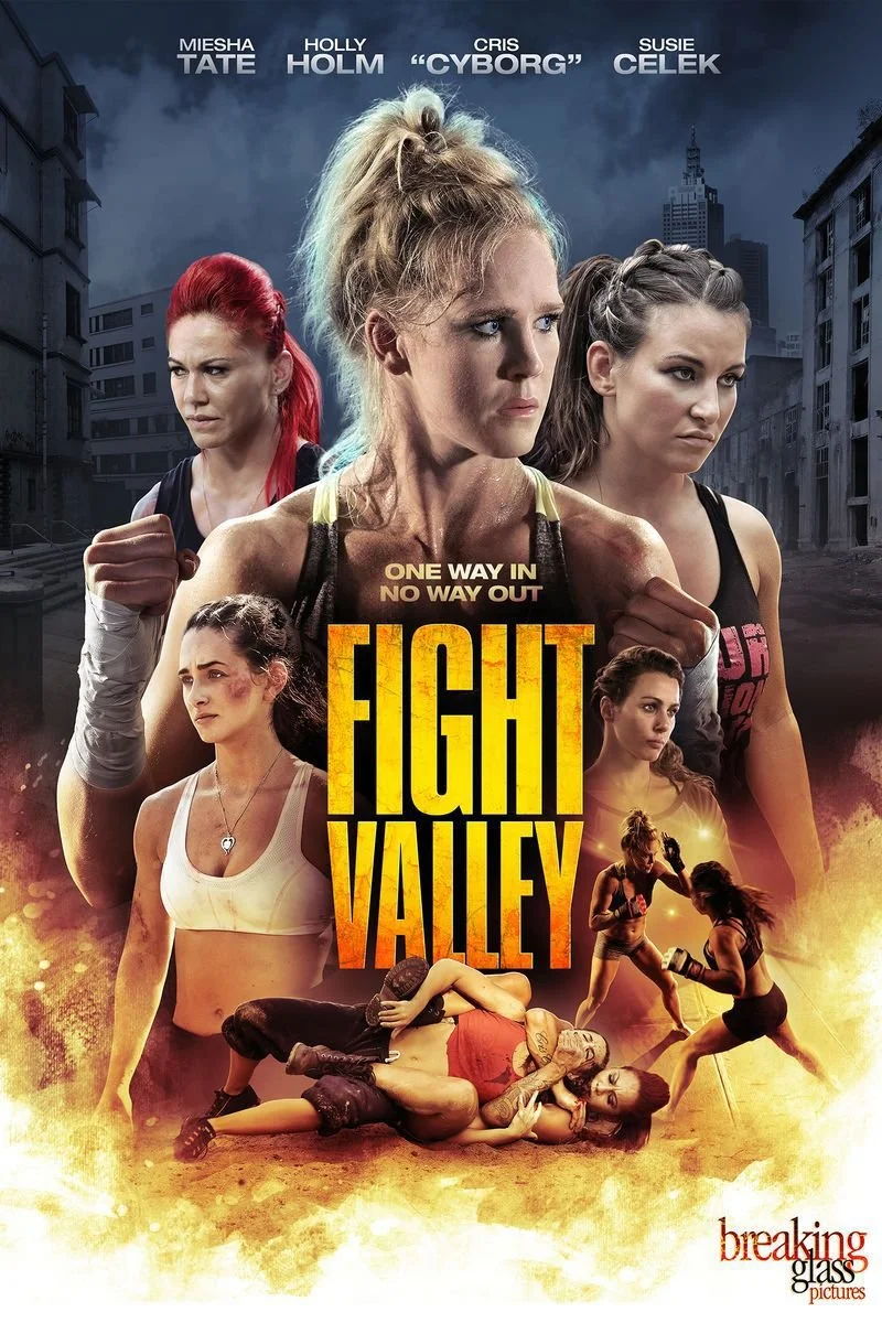 Affiche de Fight Valley