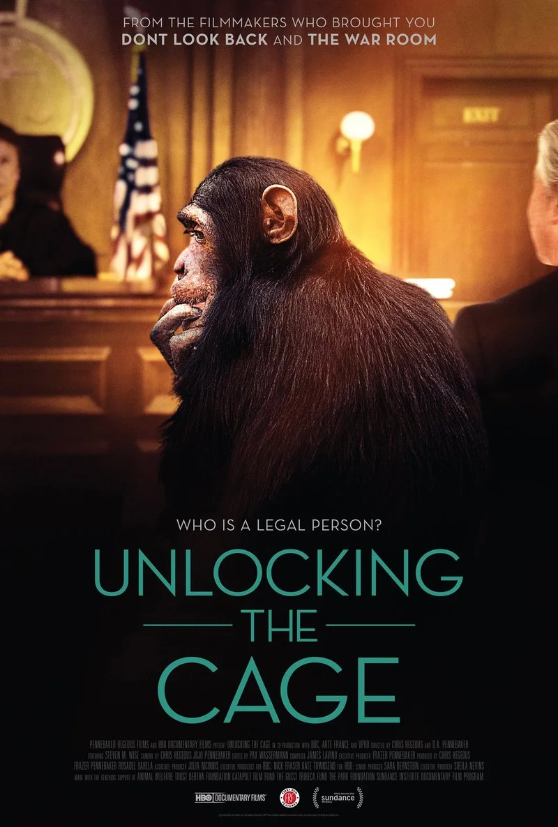 Poster van Unlocking the Cage