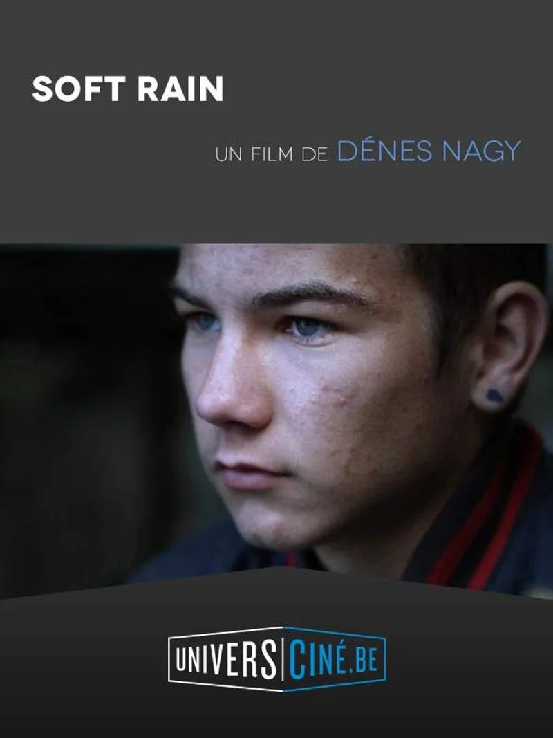 Affiche de Lágy esö