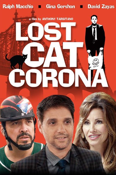 Poster Lost Cat Corona
